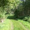 Wanderweg im NaturaTrail Genshagener Busch , Ludwigsfelde Wanderweg im NaturaTrail Genshagener Busch , Ludwigsfelde