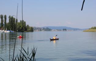 Kanuten auf dem Natura Trail Untersee Kanuten auf dem Bodensee